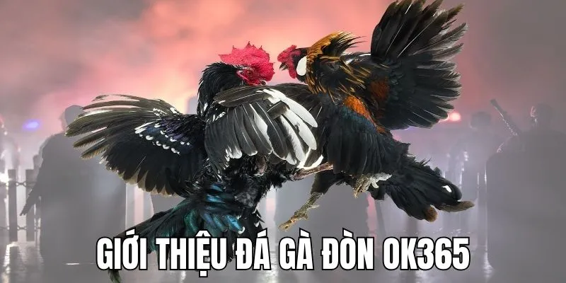 Tìm hiểu về loại hình đá gà OK365 đầy kịch tính